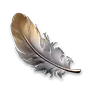 Plumage